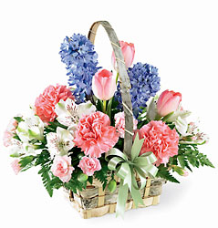 Joy of Spring Basket from Visser's Florist and Greenhouses in Anaheim, CA
